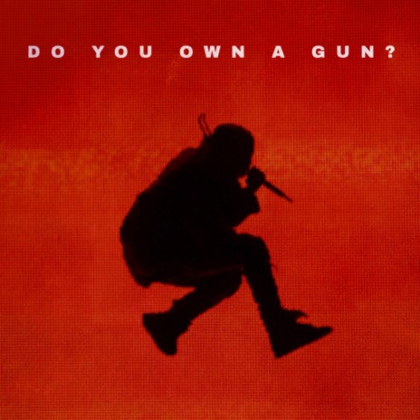 Do You Own A Gun? | Boomplay Music