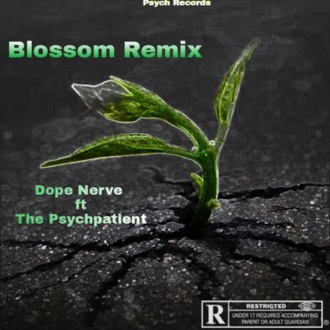 Blossom ft. Dhope | Boomplay Music