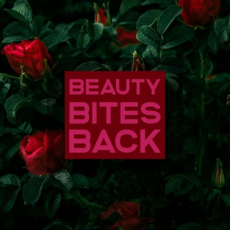 Beauty Bites Back