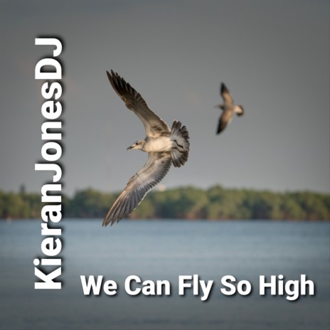 We Can Fly so High