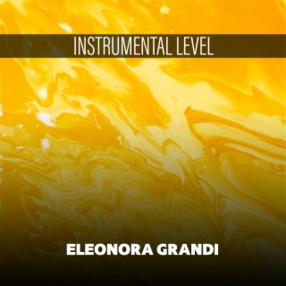 Instrumental Level
