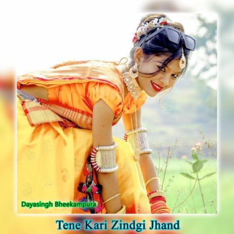Tene Kari Zindgi Jhand | Boomplay Music