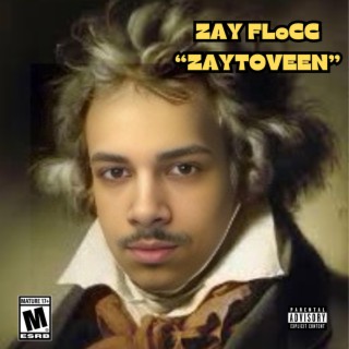 Zaytoveen