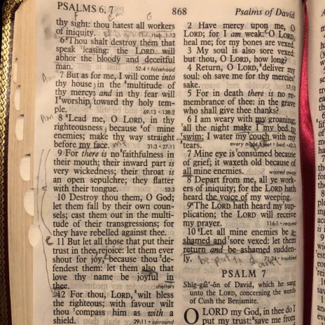 Psalms Chapter 6