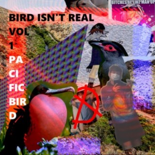 Bird Isn't Real!, Vol. 1