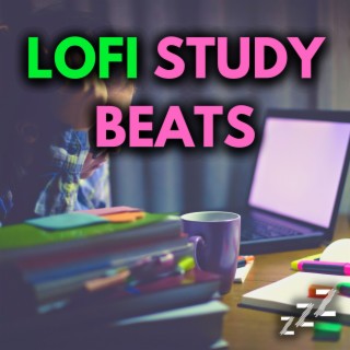 LOFI STUDY BEATS: LoFi Hip Hop For Focus