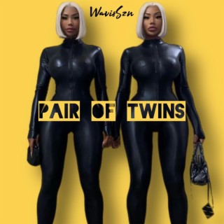 Pair Of Twins lyrics | Boomplay Music