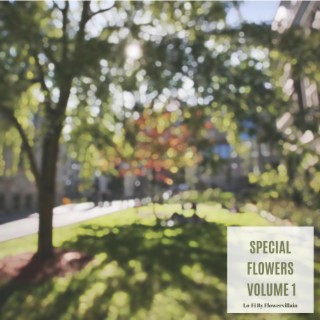 Special Flowers Volume 1