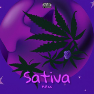 Sativa