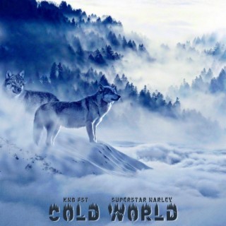 Cold World ft. Superstar Narley lyrics | Boomplay Music