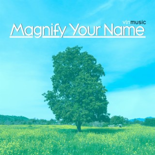 Magnify Your Name ft. Danielle Williams lyrics | Boomplay Music