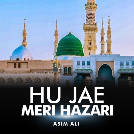 Hu Jae Meri Hazari | Boomplay Music