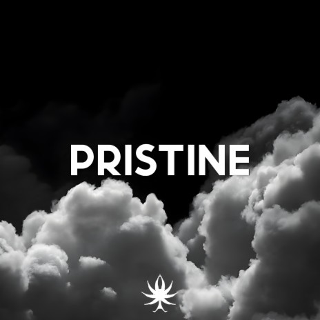 Pristine (Extended Mix) | Boomplay Music