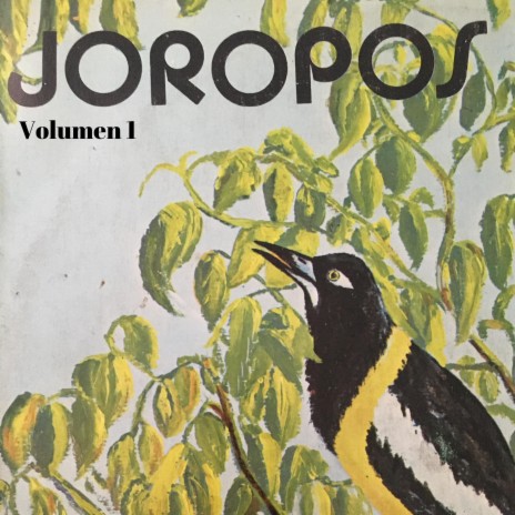 JOROPO | Boomplay Music