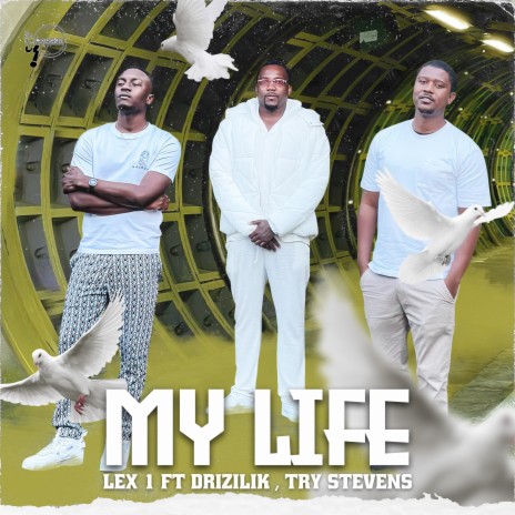 My Life ft. Drizilik & Try Stevens | Boomplay Music