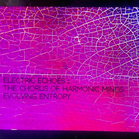 Electric Echoes: The Chorus Of Harmonic Minds Evolving Entropy