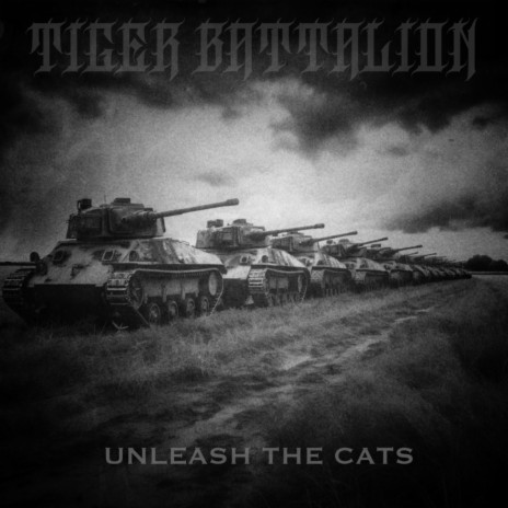 Unleash the Cats | Boomplay Music