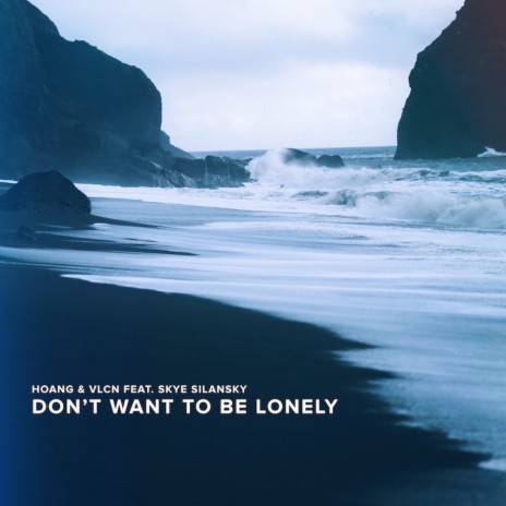 Don't Want To Be Lonely ft. VLCN & skye silansky | Boomplay Music