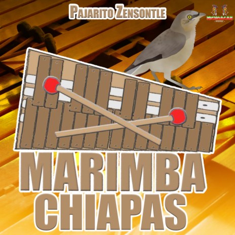 Un Sueño ft. Marimba De Chiapas | Boomplay Music