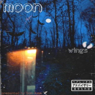 Moon / Wings lyrics | Boomplay Music
