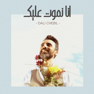 Ana Nmout Alik _أنا نموت عليك lyrics | Boomplay Music