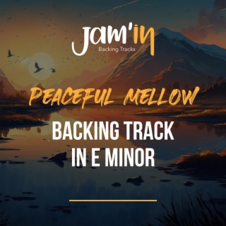 Peaceful Mellow Backing Track in E Minor