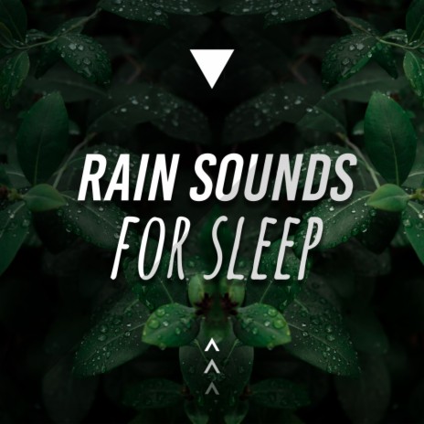 Thunderstorm & Rain | Boomplay Music