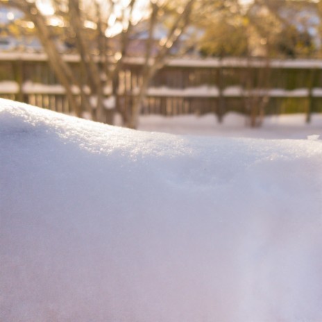 Melting Snow