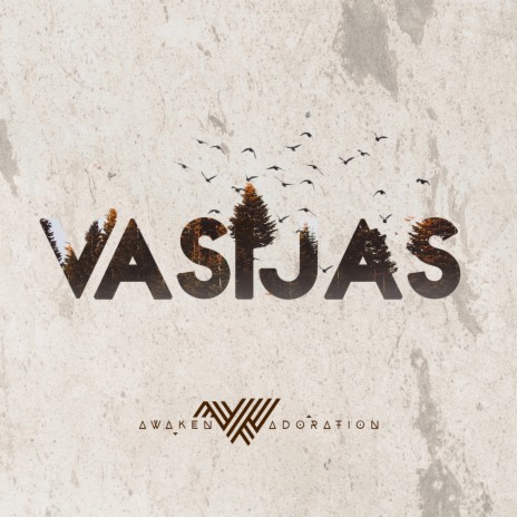 Vasijas | Boomplay Music