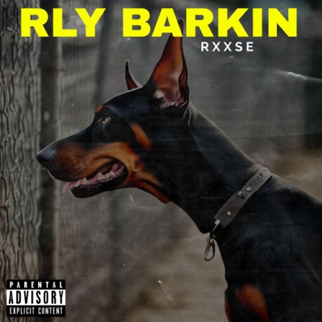 Rly Barkin, Pt. 1 | Boomplay Music