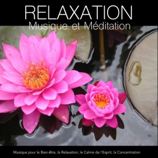 Relaxation Musique et Méditation - Musique pour le Bien-être, la Relaxation, le Calme de l'Esprit, la Concentration