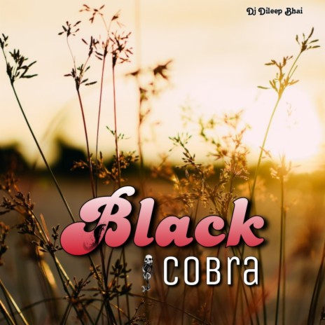 Black Cobra (Dj Dileep Bhai Remix) | Boomplay Music