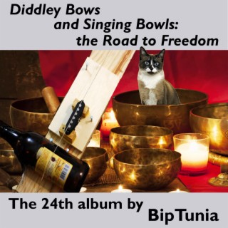 Diddley Bows and Singing Bowls the Road to Freedom
