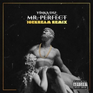 Mr.Perfect (feat. Yinka Diz)