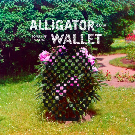 Alligator Wallet | Boomplay Music