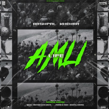 Amli Life | Boomplay Music