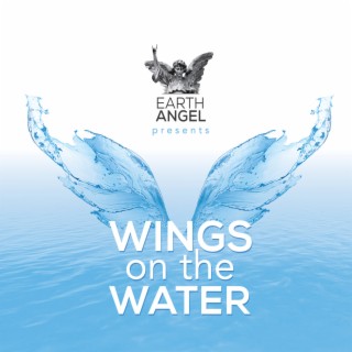 Wings On The Water