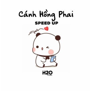 Cánh Hồng Phai - speed up