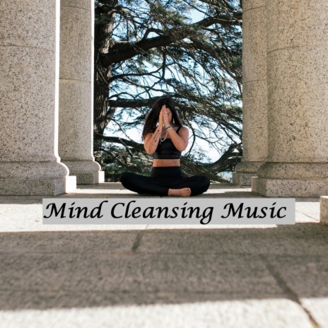 Mind Cleansing | Boomplay Music