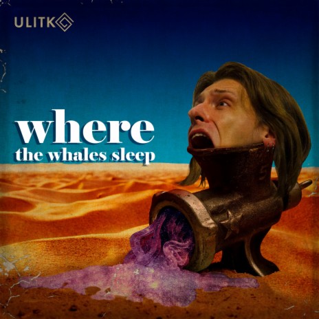 Where the whales sleep