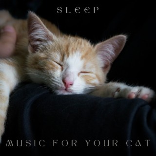 Music for your Cat