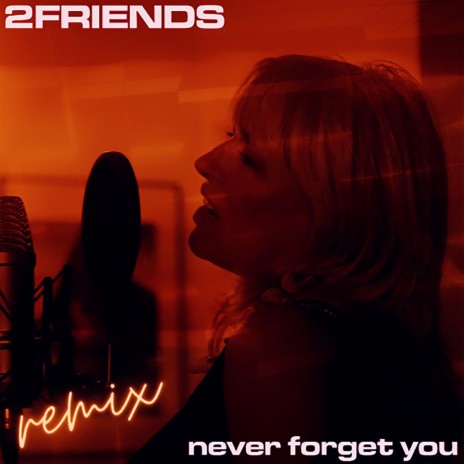 Never Forget You (Remix) | Boomplay Music