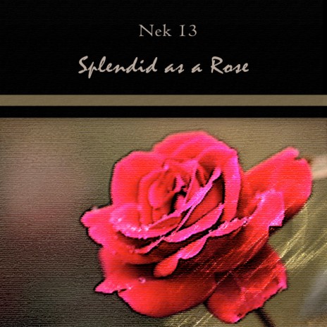 Splendid As a Rose | Boomplay Music