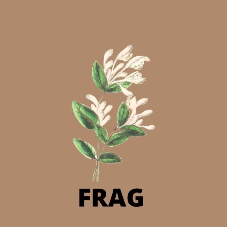 Frag | Boomplay Music