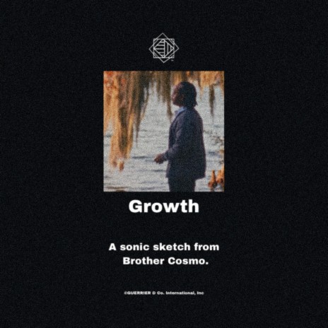 Growth | Boomplay Music