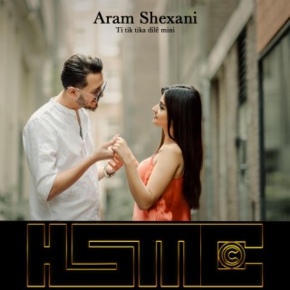 Aram Shexani Ti Tik Tika Dilê Mini lyrics | Boomplay Music