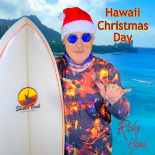 Hawaii Christmas Day