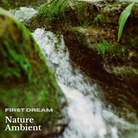Nature Ambient, No. 295 | Boomplay Music