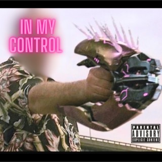 IN MY CONTROL