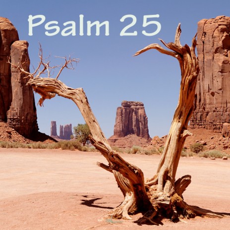 Psalm 25 | Boomplay Music